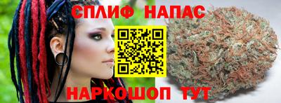 дмт Кинель