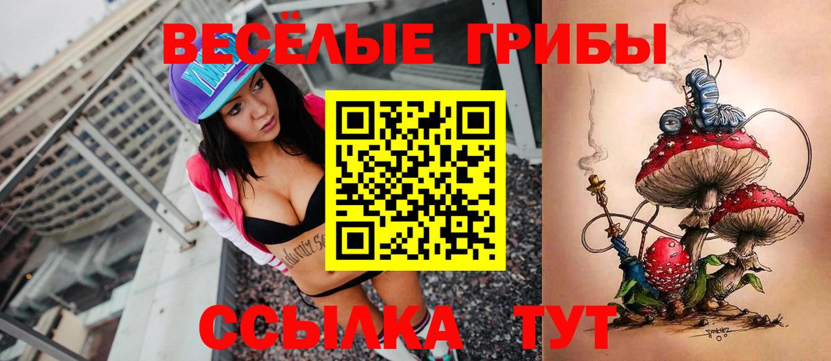 Кострома  Галлюциногенные грибы мухоморы  Вход с VPN 