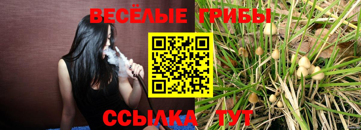 Галлюциногенные грибы прущие грибы Кострома